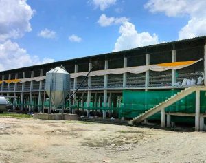 POULTY-FARM-PH-I